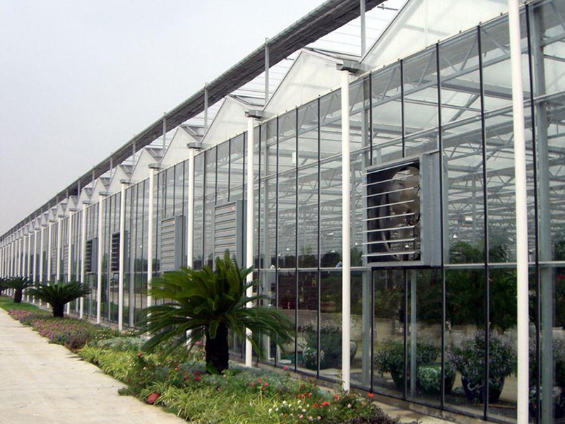 镀锌板负压风机安装案例